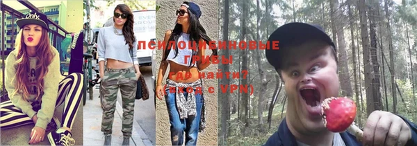 прущая мука Арсеньев