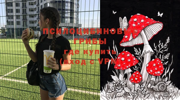 ПСИЛОЦИБИНОВЫЕ ГРИБЫ Аркадак