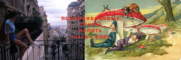 ПСИЛОЦИБИНОВЫЕ ГРИБЫ Аркадак