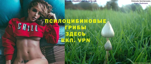 гашик Армянск