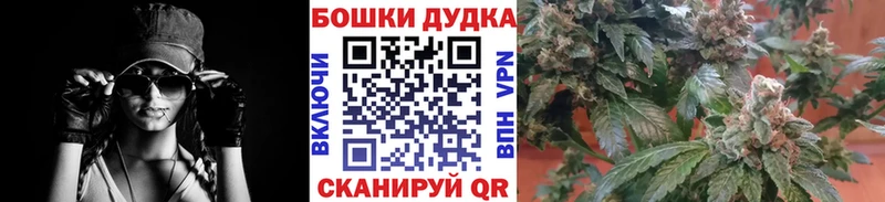 МАРИХУАНА сатива Бодайбо